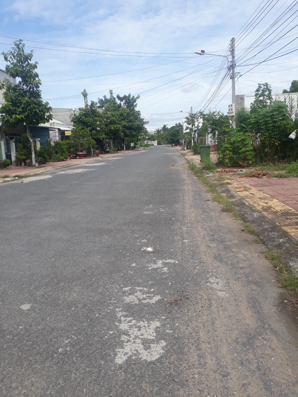 Cần bán 36 hec đất tại xã Lộc Tân , Huyện Bảo Lâm , Lâm Đồng 10462191