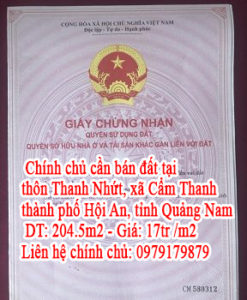 Chính chủ cần bán đất tại thôn Thanh Nhứt, xã Cẩm Thanh , thành phố Hội An , tỉnh Quảng Nam 10463305