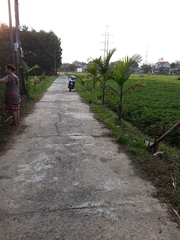 CHÍNH CHỦ BÁN ĐẤT Ở KHU SINH THÁI THÔN THÁI LAI, HÒA NHƠN, HÒA VANG, ĐÀ NẴNG
 10463642