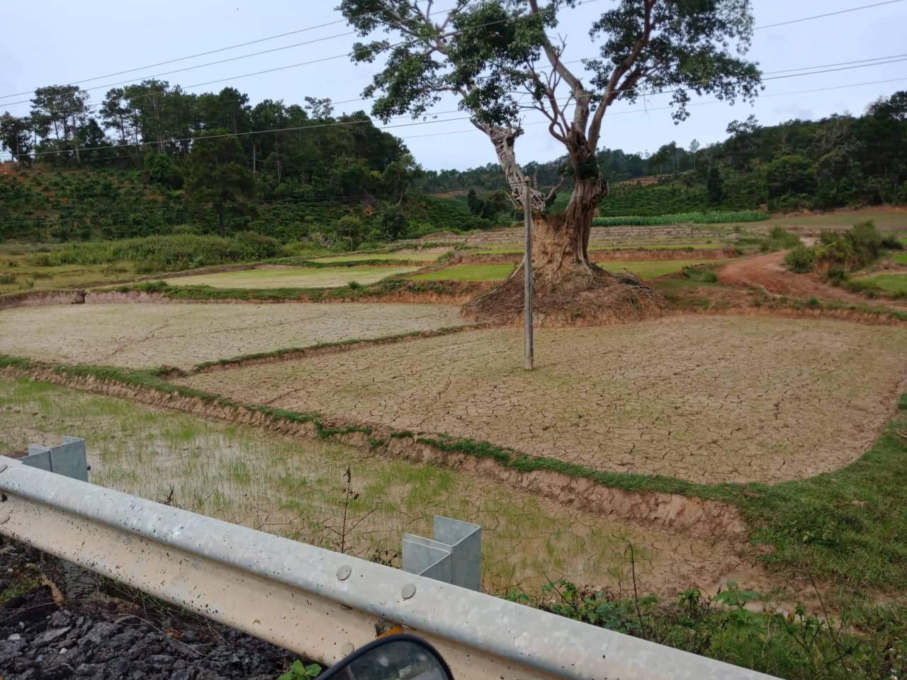 Cần bán lô đất mặt tiền khoảng 40m ngay ngã 3 cây xăng tà hine đường quốc lộ 28b, Đức Trọng, Lâm Đồng 10468708