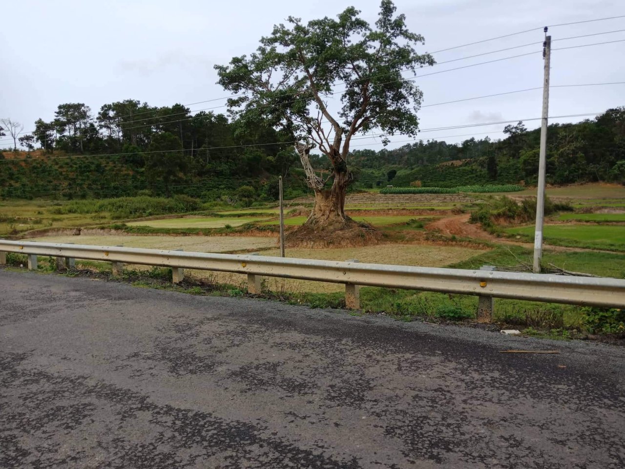 Cần bán lô đất mặt tiền khoảng 40m ngay ngã 3 cây xăng tà hine đường quốc lộ 28b, Đức Trọng, Lâm Đồng 10468708
