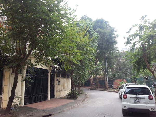 Chính chủ bán biệt thự khu Đô thị mới Định Công, Quận Hoàng Mai, Hà Nội 10484934