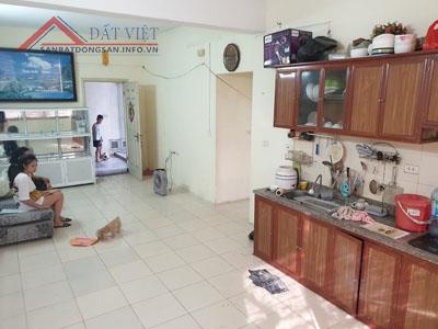 Chính chủ cần bán CĂN GÓC tòa A1D1, KĐT mới Đặng Xá, Gia Lâm 10491821