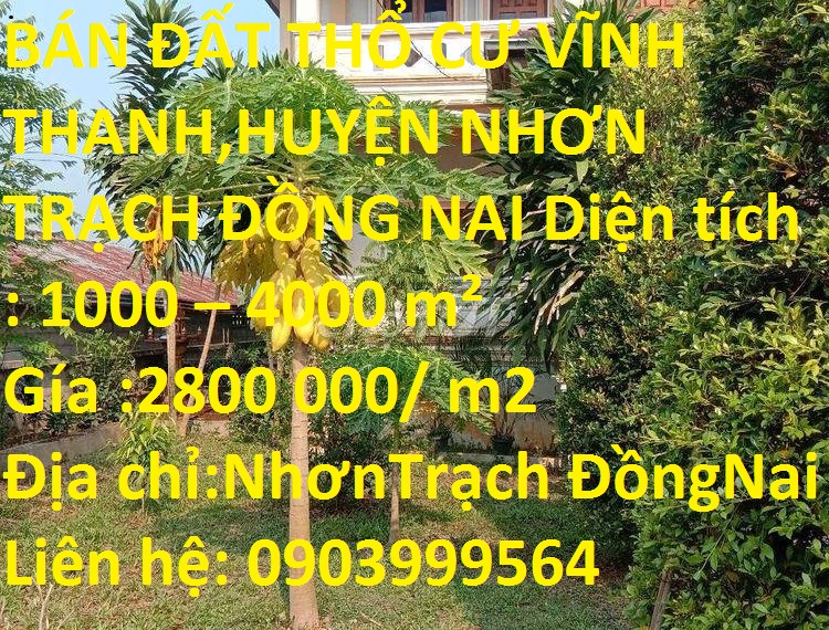 Bán đất thổ cư Vĩnh Thanh,Huyện Nhơn Trạch Đồng Nai 10498548