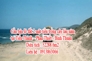 Cần bán lô đất 2 mặt tiền trồng cây lâu năm Tiến Thành – Phan Thiết - Bình Thuận lh : 0913863066 10503486