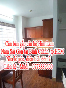 Cần bán gấp căn hộ Him Lam Nam Sài Gòn tại Bình Chánh, tp.HCM 10507567