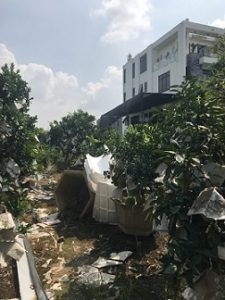 Chính Chủ Cần Bán Đất Thôn Phi Liệt, Xã Liên Nghĩa, Huyện Văn Giang, Tỉnh Hưng Yên 10508748