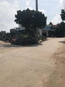 Chính Chủ Cần Bán Đất Thôn Phi Liệt, Xã Liên Nghĩa, Huyện Văn Giang, Tỉnh Hưng Yên 10508748