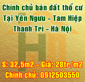 Bán đất tại Yên Ngưu Thanh Trì, Hà Nội. Sổ đỏ chính chủ. 10515804