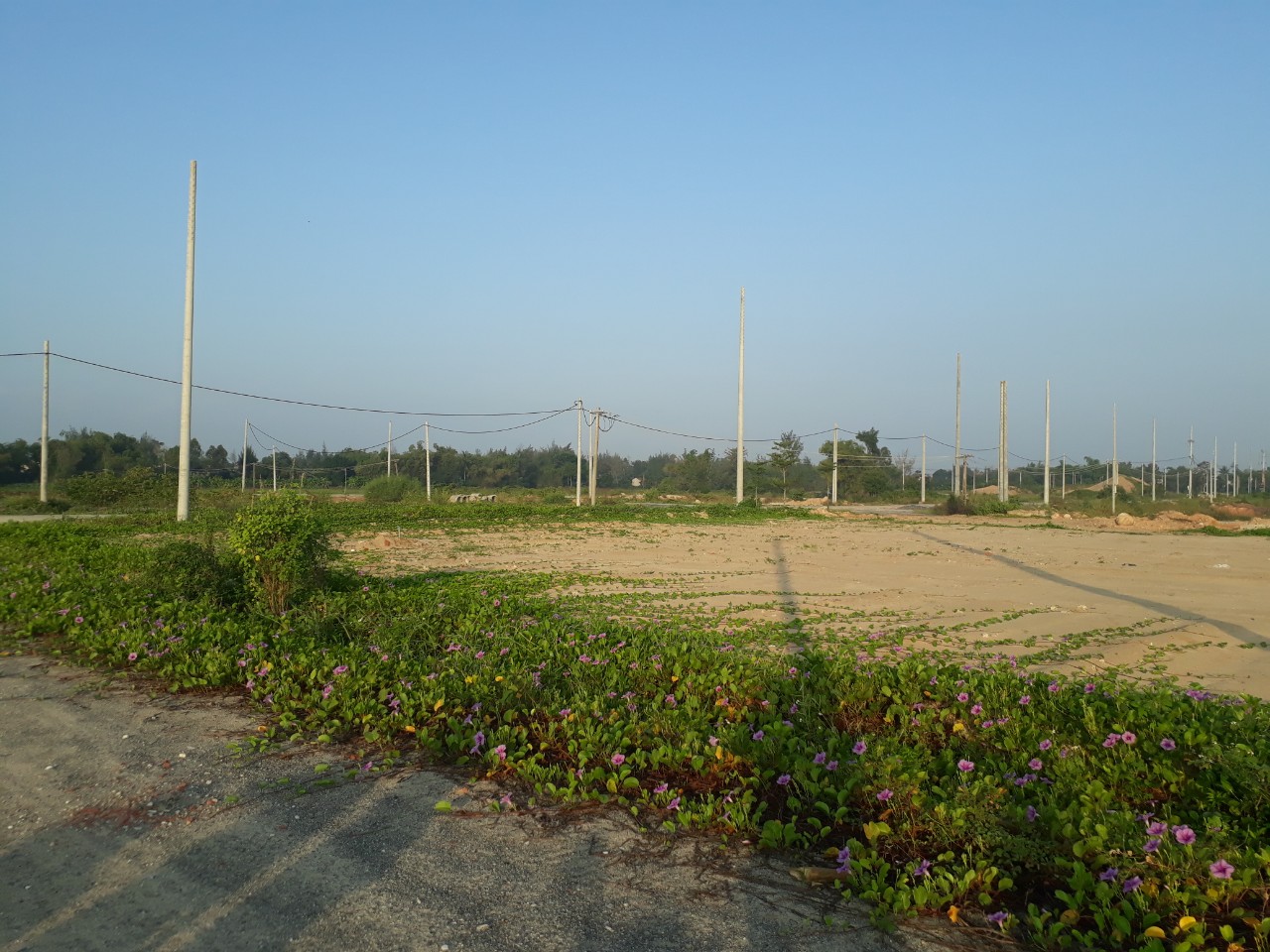 Đất ngay UBND P. Điện Dương, gần bãi tắm Thống Nhất - đầu tư sinh lợi 10530789