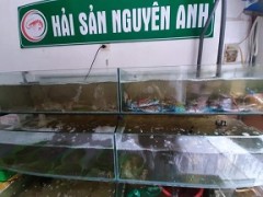 Cần sang nhượng cửa hàng hải sản tươi sống tại Nhân Hoà, Thanh Xuân, Hà Nội 10541195