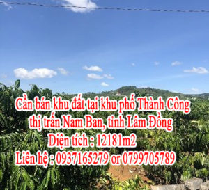 Cần bán khu đất tại khu phố Thành Công, thị trấn Nam Ban, tỉnh Lâm Đồng 10543723