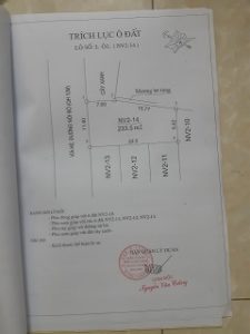 Chính chủ cần bán đất dự án quy hoạch dự án Vinaconex 9 Xóm 2, Nghi Phú, TP Vinh, Nghệ An 10549435