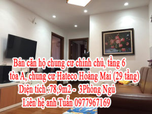 Bán căn hộ chung cư chính chủ, tầng 6, tòa A, chung cư Hateco Hoàng Mai (29 tầng): 10551631