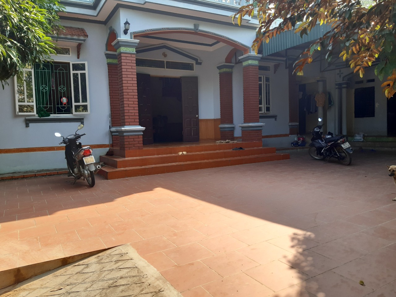 Chính chủ cần bán nhà, đất Xã An Đạo - Huyện Phù Ninh - Phú Thọ 10552112