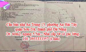 Cần bán nhà An Trung 15, phường An Hải Tây, quận Sơn Trà, thành phố Đà Nẵng 10556399