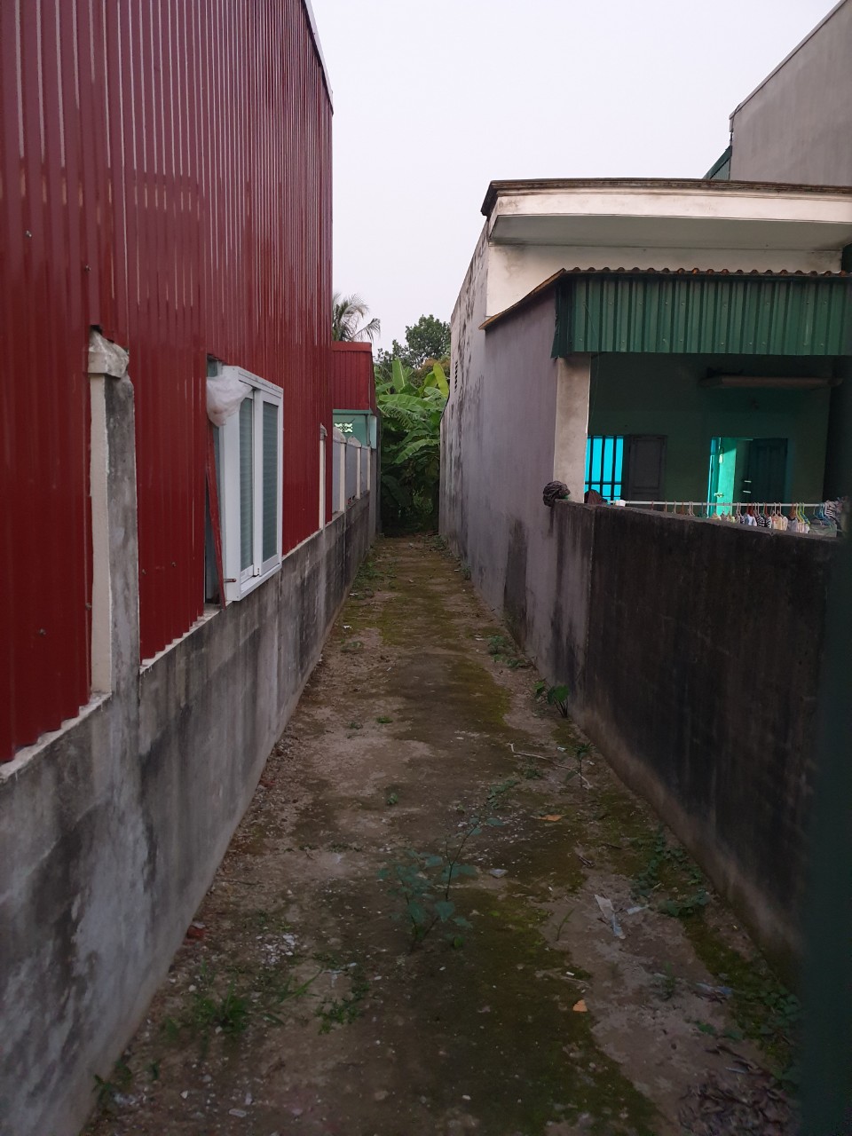 cần bán gấp lô đất ngay trục đường 301 trường thọ an lão hải phòng giá rẻ nhất thị trường hiên nay 10567953