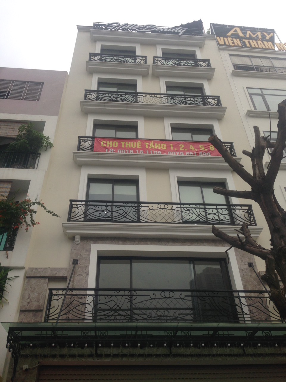 Cho thuê MBKD tầng 1+2 MT 8m mặt phố Nguyễn Văn Huyên quận Cầu Giấy 10571111