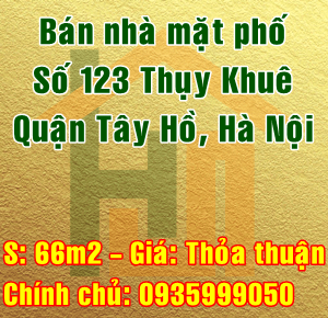 Bán nhà mặt đường số 123 Thụy Khuê, Quận Tây Hồ, Hà Nội 10572213