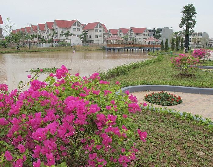 Cần bán gấp Biệt Thự KĐT Phú Lương, Hà Đông giá cực rẻ 0972.365.745 10587782