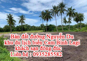 Bán đất đường Nguyễn Du , khu du lịch biển Cam Bình Lagi, khách sạn đông đúc. 10589911