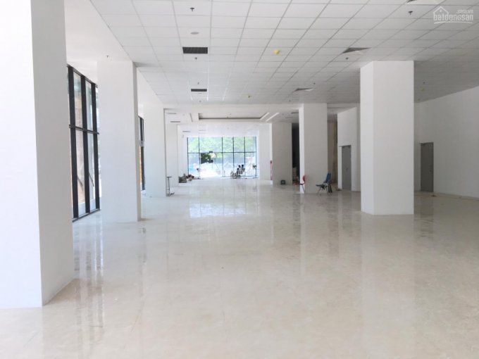 Cho thuê văn phòng 50m2 - 200m2 khu vực Nguyễn Khang, Cầu Giấy, Trần Thái Tông. Lh: 0971 724 268.
 10599333