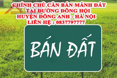 Chính chủ​ cần bán mảnh đất tại đường Đông Hội - Huyện Đông Anh - Hà Nội 10611181