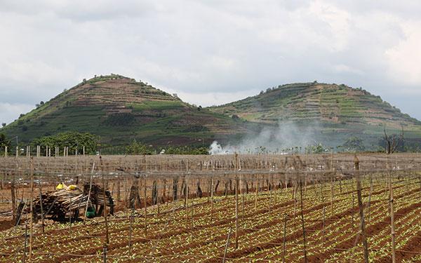 BÁN 1,4HA ĐẤT NÔNG NGHIỆP TAI PHÚ HỘI, ĐỨC TRỌNG, LÂM ĐỒNG 10622286