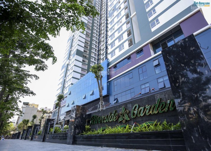 CẦN BÁN BIỆT THỰ SONG LẬP RIVERSIDE GARDEN, 349, PHỐ VŨ TÔNG PHAN, PHƯỜNG KHƯƠNG ĐÌNH, THANH XUÂN, 10623402