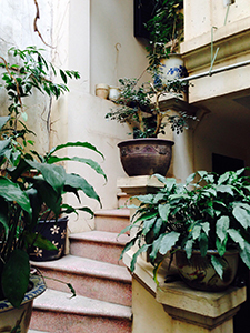 CHO THUÊ NHÀ SỐ 12 NGÁCH 2/1, NGÕ 22, PHẠM THẬN DUẬT, CẦU GIẤY, HN 10623878