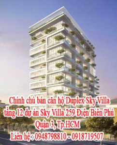 Chính chủ bán căn hộ Duplex Sky Villa tầng 12 dự án Sky Villa 259 Điện Biên Phủ, Quận 3, Tp.HCM 10630705