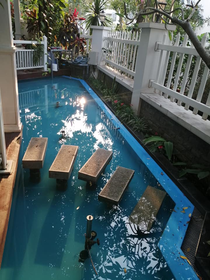 BIỆT THỰ BỰ THIỆT BỰ, CỰC SANG CHẢNH, KHU VIP QUẬN 9 10631028