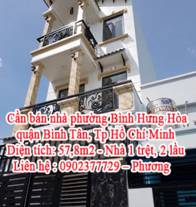 Cần bán nhà phường Bình Hưng Hòa, quận Bình Tân, Tp Hồ Chí Minh 10649545