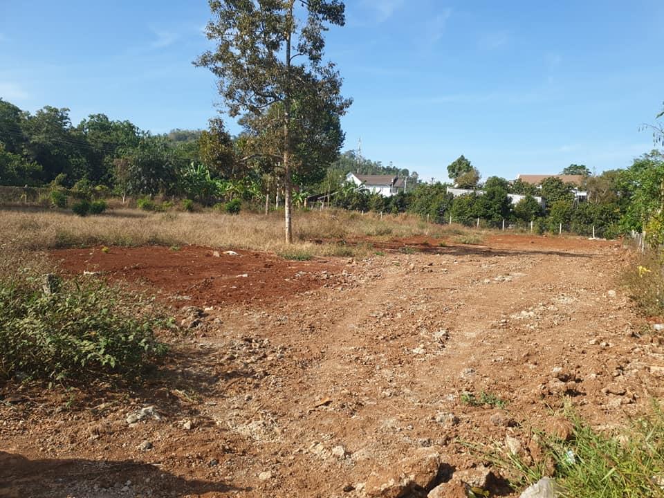 Đất Phường Xuân Tân Thành Phố Long Khánh  10655117