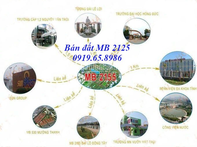 Bán đất mặt bằng 2125 - Nơ 11 Phường Đông vệ - Thành phố Thanh Hóa  10733364