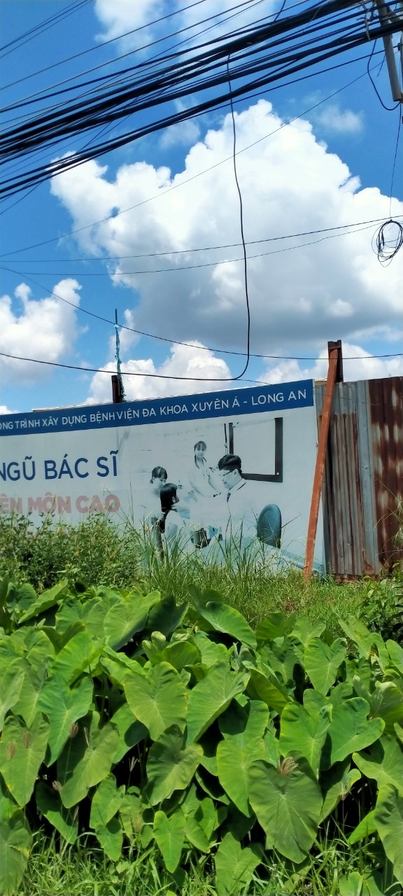 SỔ HỒNG TRAO TAY CÓ NGAY ĐẤT ĐẸP TRUNG TÂM HÀNH CHÍNH ĐỨC HÒA, LONG AN 10773039