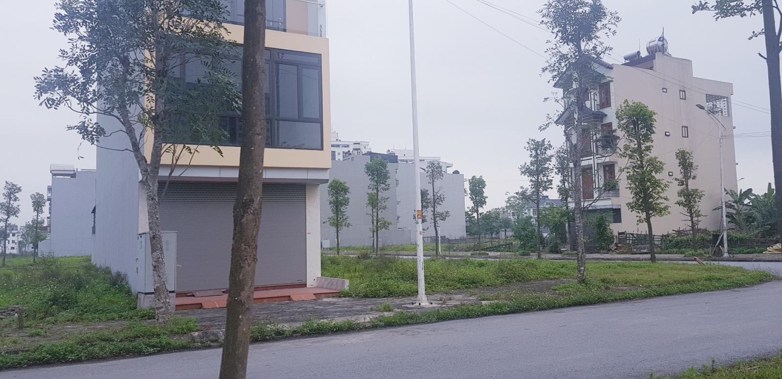 Báo giá liền kề 100m2 thanh hà cienco giá rẻ 10773884