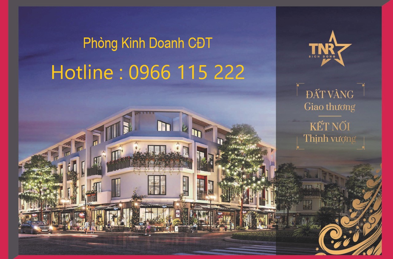 Dự án TNR STARS Bích Động - Khu đô thị chợ mới - TT thị trấn Bích Động - Việt Yên - Bắc Giang 10776392