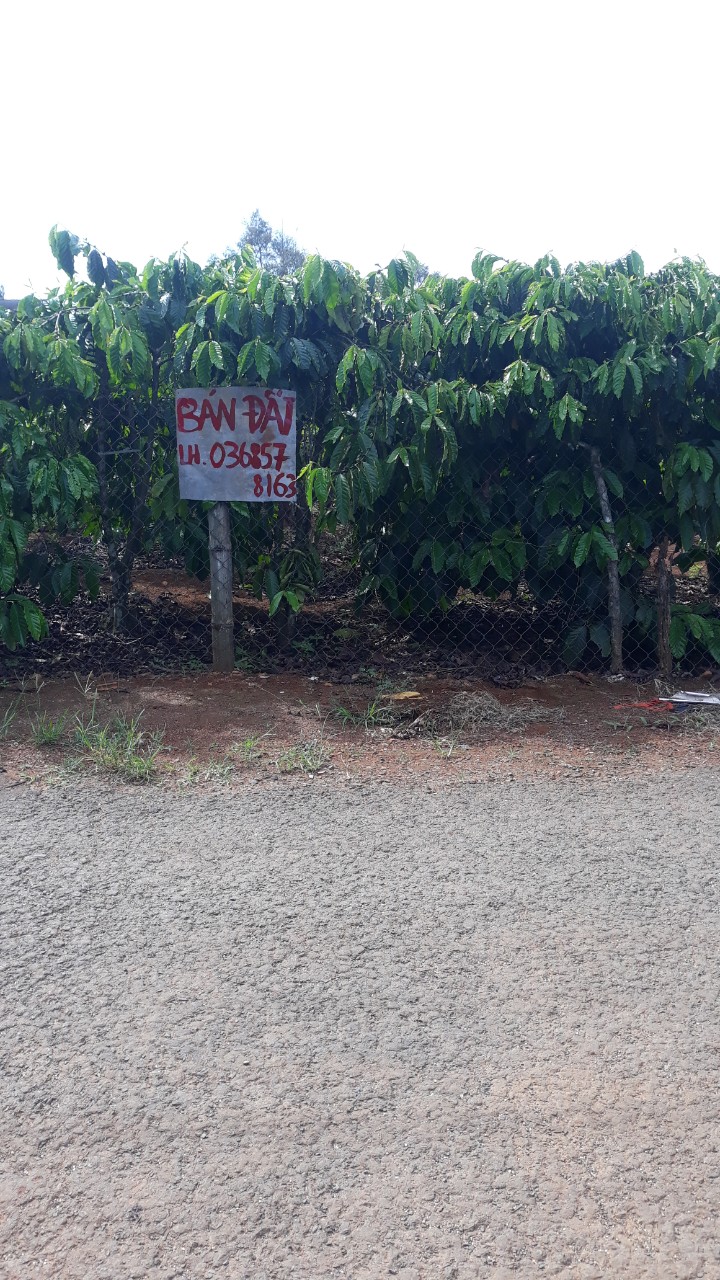 CẦN BÁN ĐẤT CHÍNH CHỦ TẠI LỘC AN- BẢO LÂM- LÂM ĐỒNG 10779017