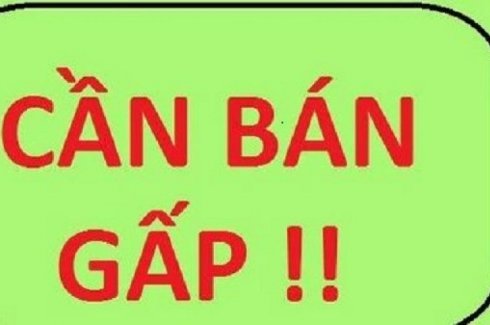 Cực hiếm. Bán đất phố Trương Định. ô tô - kinh doanh - mặt ngõ - cách phố 50m 58m 3.75 tỷ 10789592