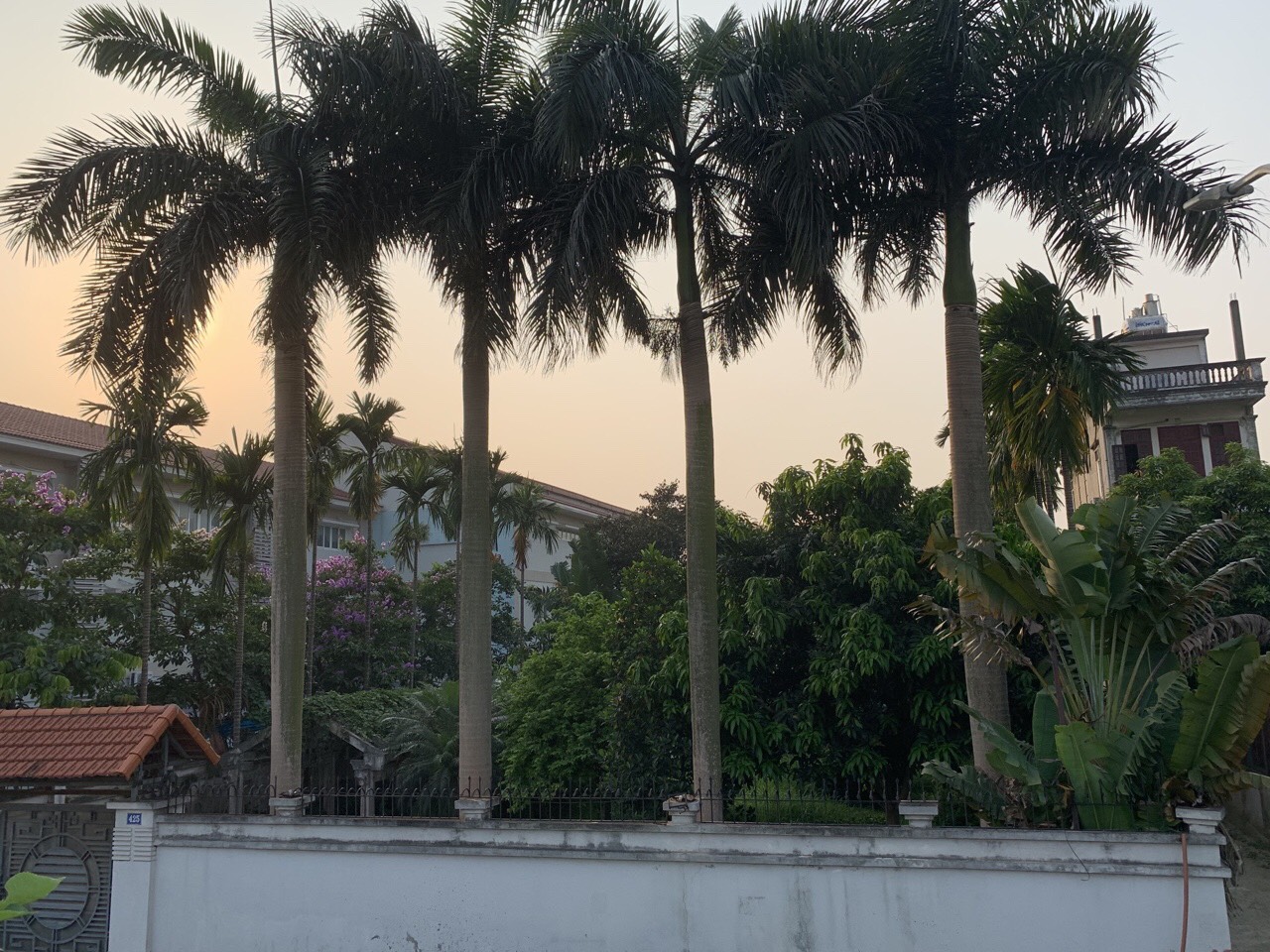 CHÍNH CHỦ MUỐN BÁN ĐẤT TẠI LONG BIÊN, HÀ NỘI 10795389