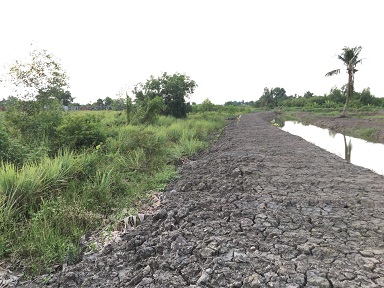 Chính chủ bán Đất này ở kênh 11, Võ Hữu Lợi, xã Lê Minh Xuân, Bình Chánh, Tphcm. 10808347