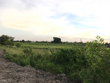 Chính chủ bán Đất này ở kênh 11, Võ Hữu Lợi, xã Lê Minh Xuân, Bình Chánh, Tphcm. 10808347