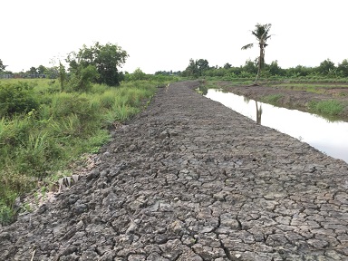 Chính chủ bán Đất này ở kênh 11, Võ Hữu Lợi, xã Lê Minh Xuân, Bình Chánh, Tphcm. 10808347