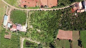 Chính chủ cần bán 4 lô đất đẹp mà rẻ cách UBND Xã Đông Thanh gần 800m ( Gần Đông Thanh, Đà Lạt, 10809560
