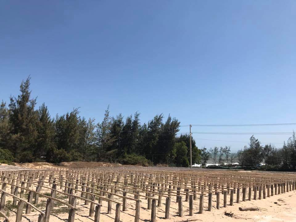 CẦN BÁN LÔ ĐẤT VÀNG TẠI HUYỆN HÀM THUÂN NAM, TP PHAN THIẾT, TỈNH BÌNH THUẬN 10815614