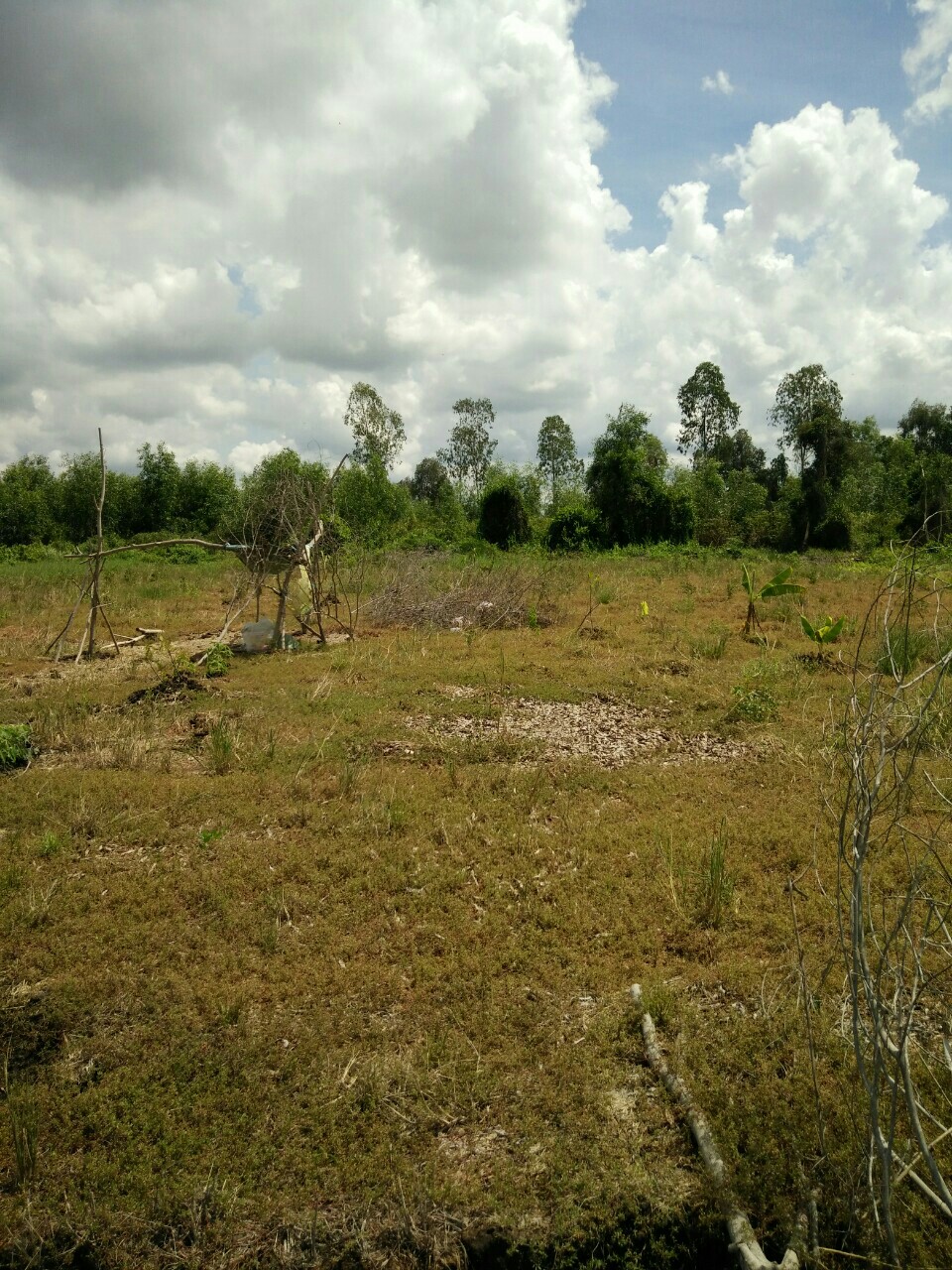 CHÍNH CHỦ CẦN BÁN ĐẤT TẠI BÌNH ĐỨC BẾN LỨC LONG AN 10815713