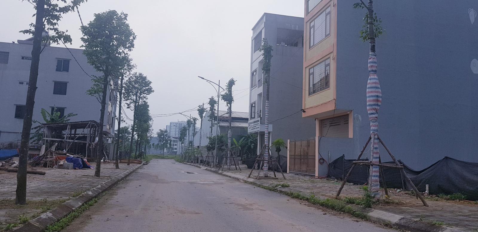 Bán đất liền kề 100m2 đường 14m Đông Nam B1,4 lô 4 Thanh Hà Cienco 5 giá 2.6 tỷ 10819875