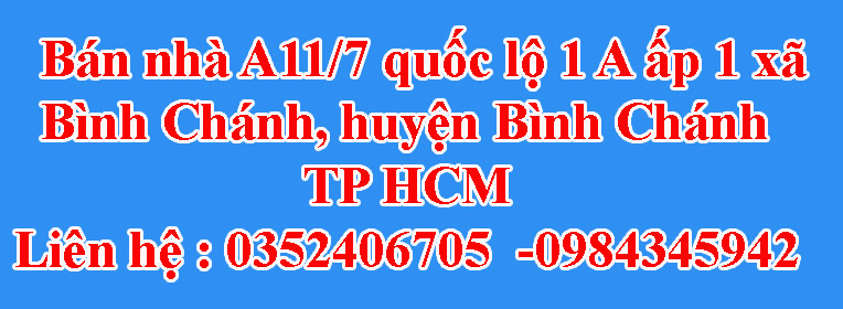 Bán nhà A11/7 quốc lộ 1 A ấp 1 xã Bình Chánh huyện Bình Chánh TP HCM 10821018