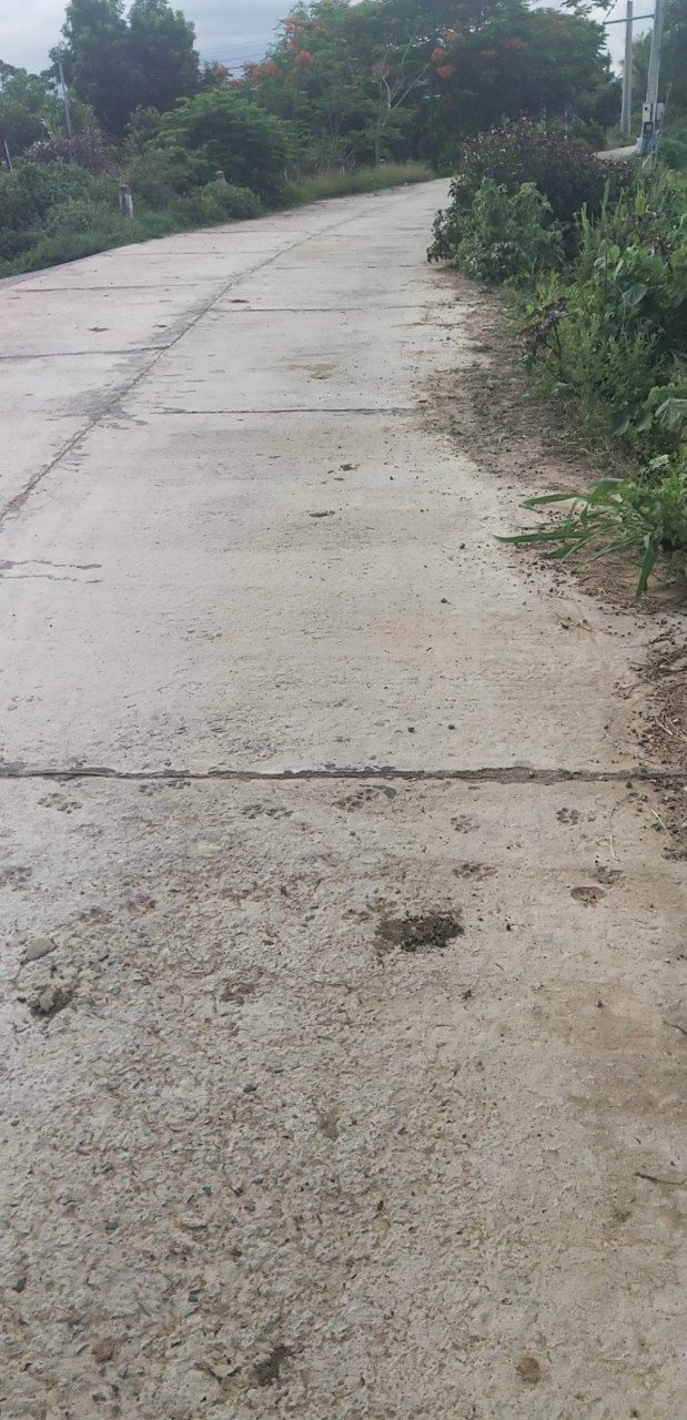 CHÍNH CHỦ CẦN BÁN 800M2 ĐẤT MẶT ĐƯỜNG BÊ TÔNG THÔN LIÊM AN , HỒNG LIÊM , HÀM THUẬN BẮC , BÌNH THUẬN 10821954